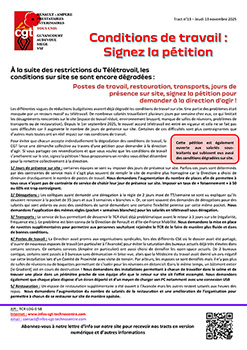 251113 tcr13 petition teletravail